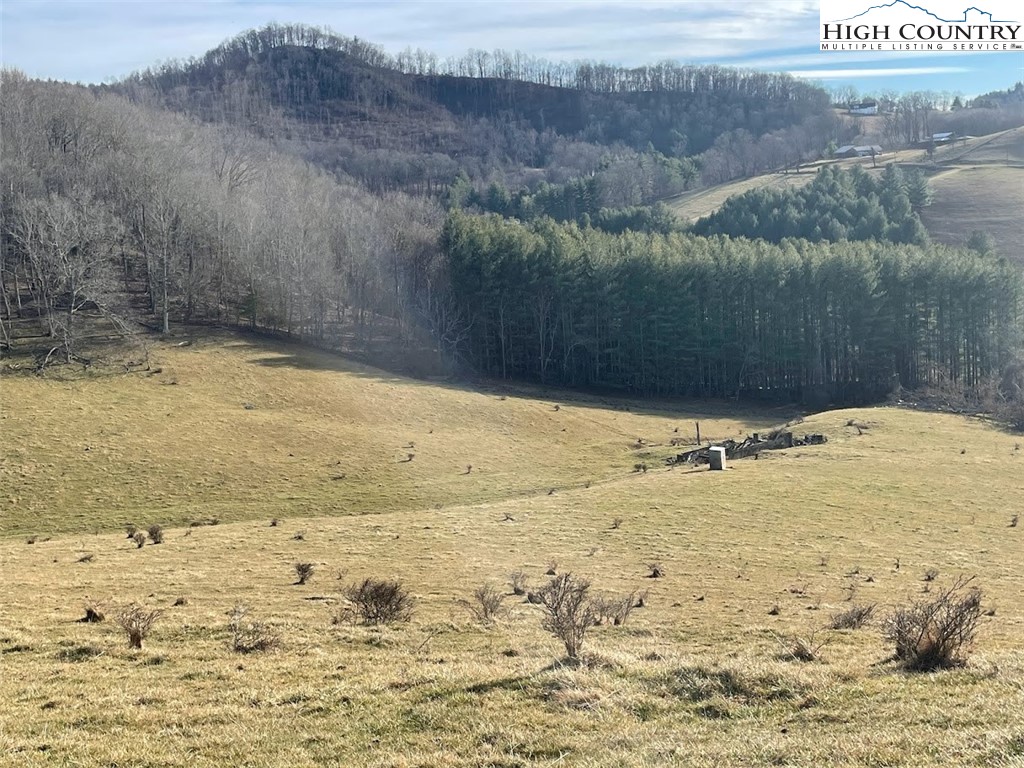 TBD Bill Bledsoe Road