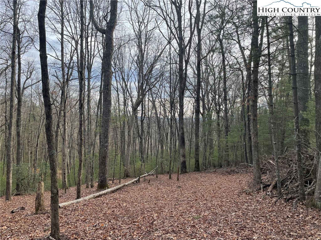 141 Maines Hill Lane