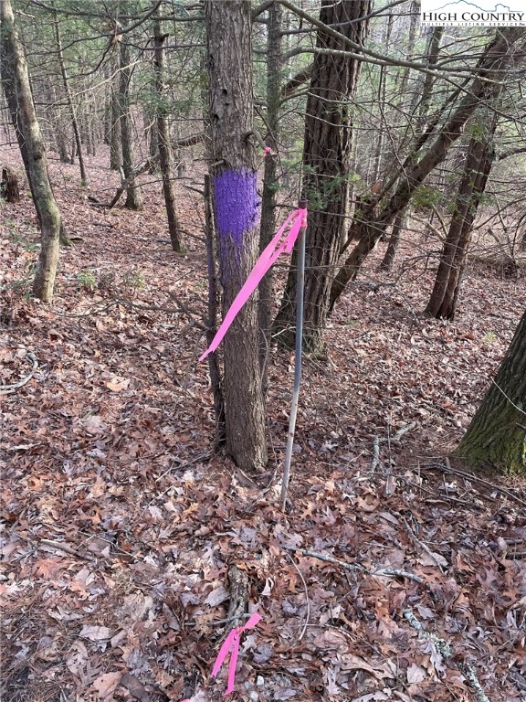 141 Maines Hill Lane