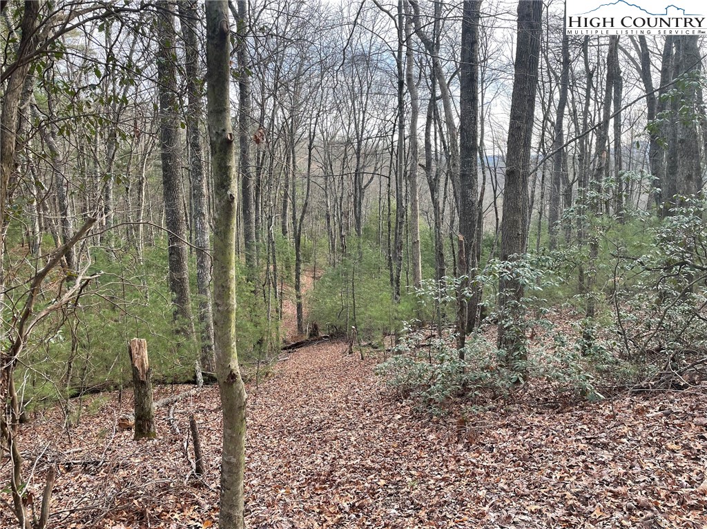 141 Maines Hill Lane