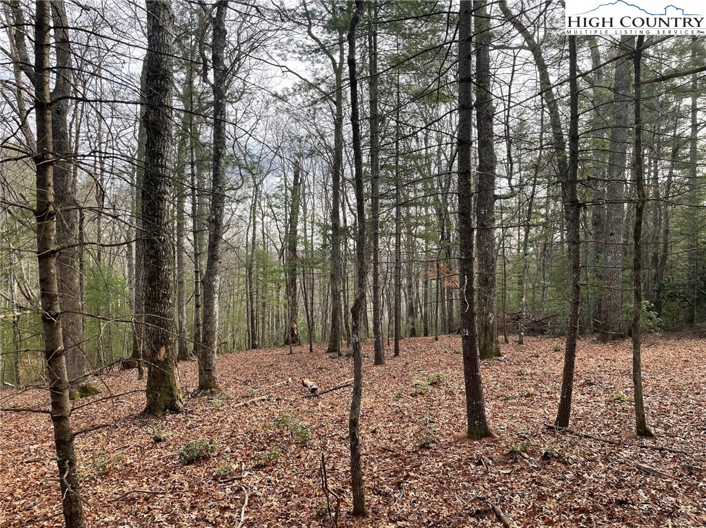 141 Maines Hill Lane