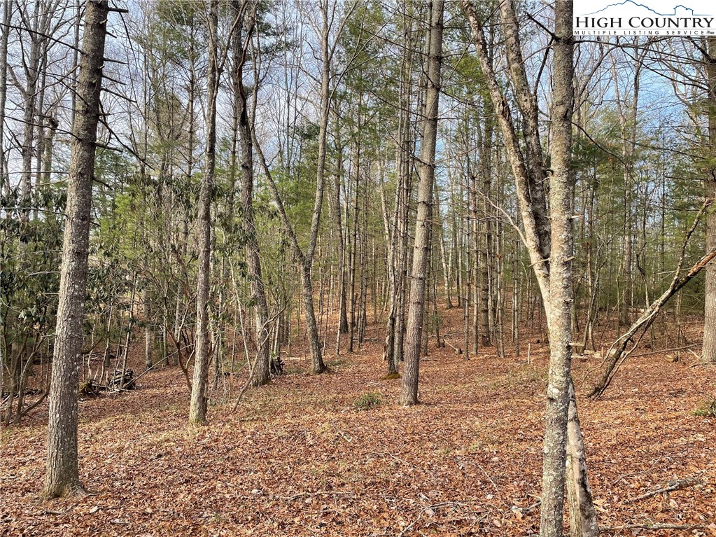 141 Maines Hill Lane