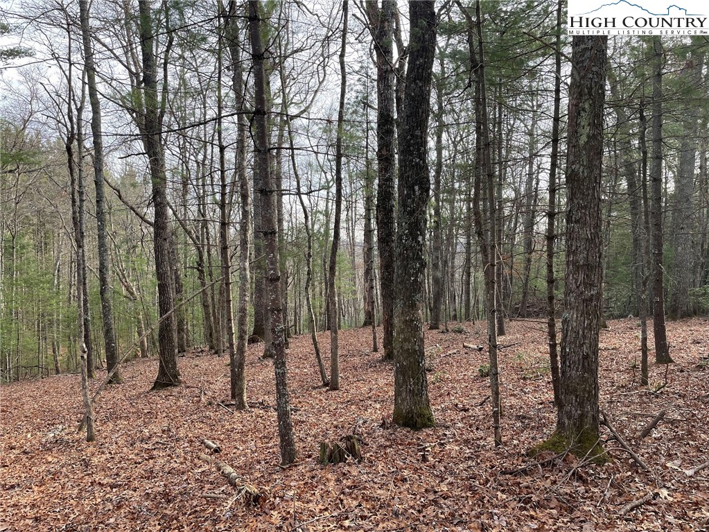 141 Maines Hill Lane