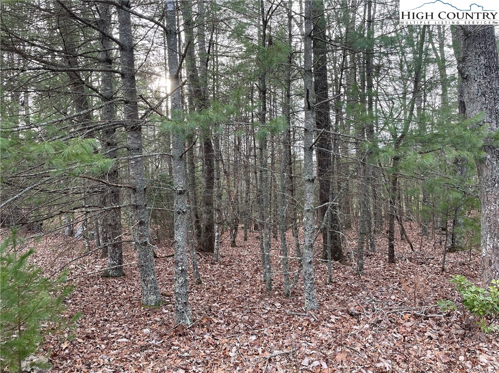 141 Maines Hill Lane