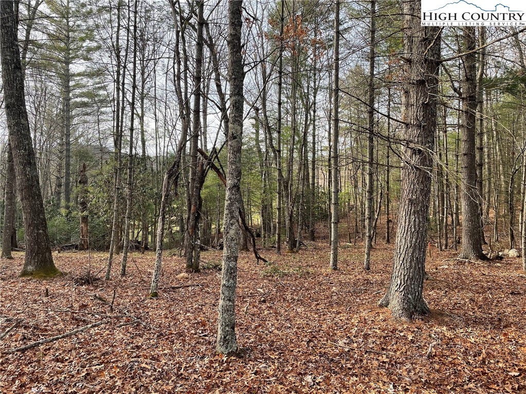 141 Maines Hill Lane