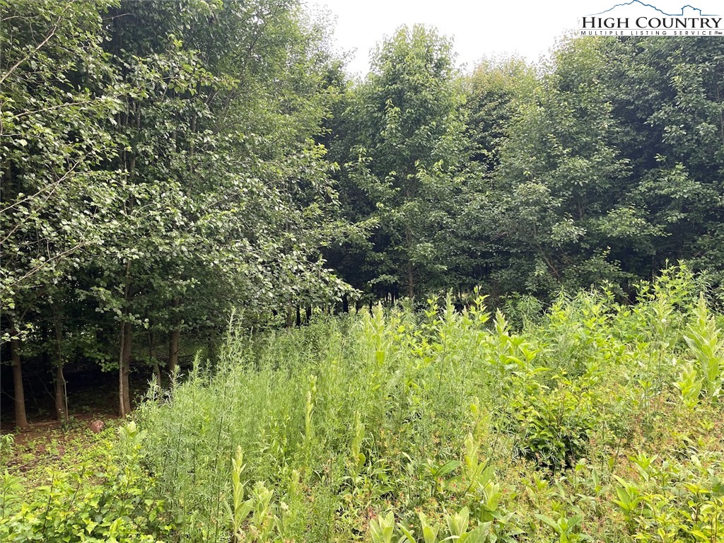 TBD Graybeal Calloway Drive