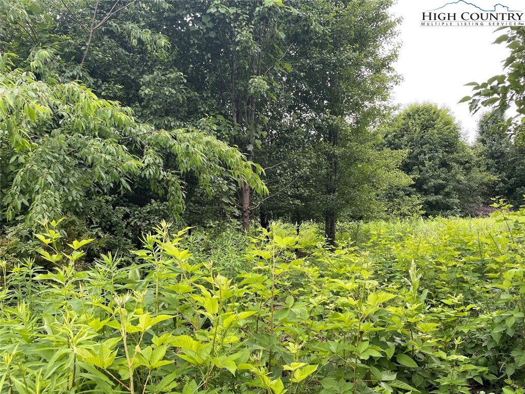 TBD Graybeal Calloway Drive