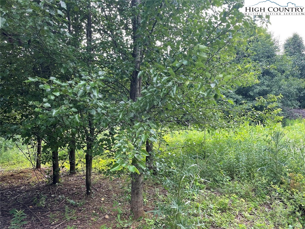 TBD Graybeal Calloway Drive