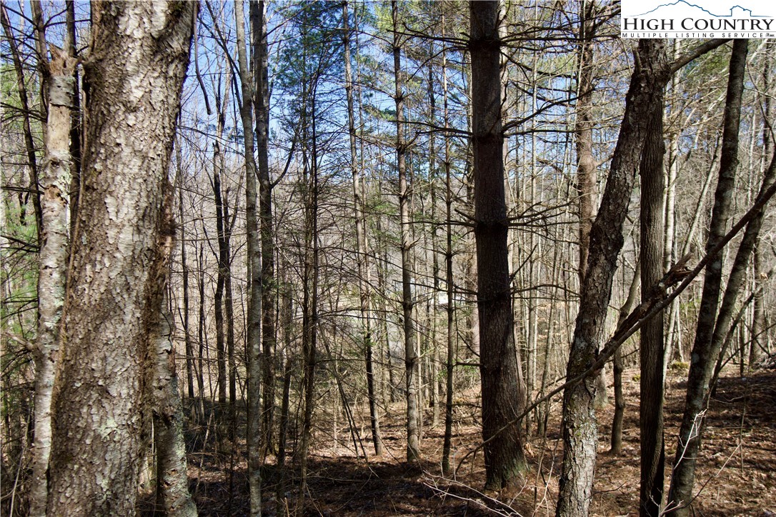 63 Stoney Brook Drive