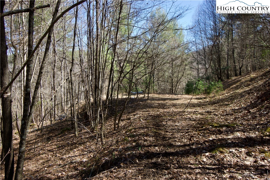 63 Stoney Brook Drive