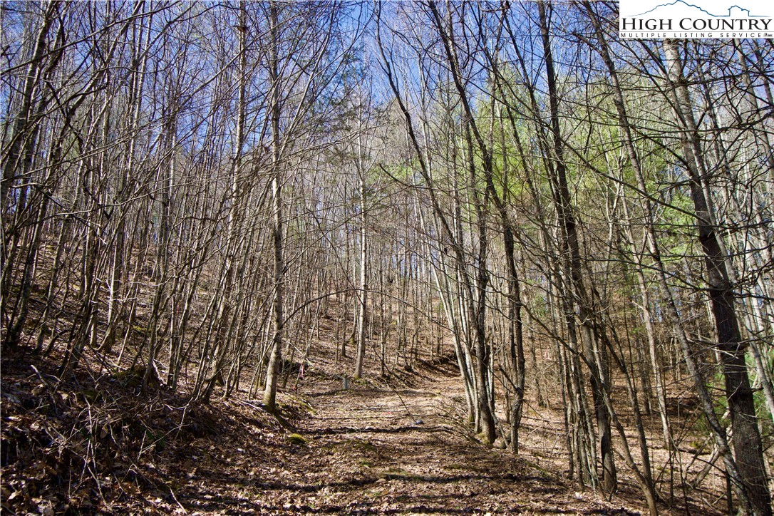 63 Stoney Brook Drive