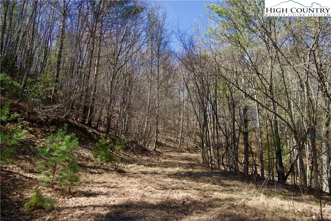 63 Stoney Brook Drive