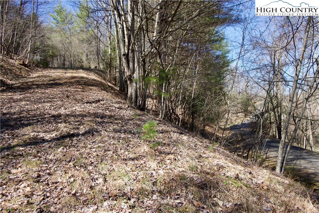 63 Stoney Brook Drive