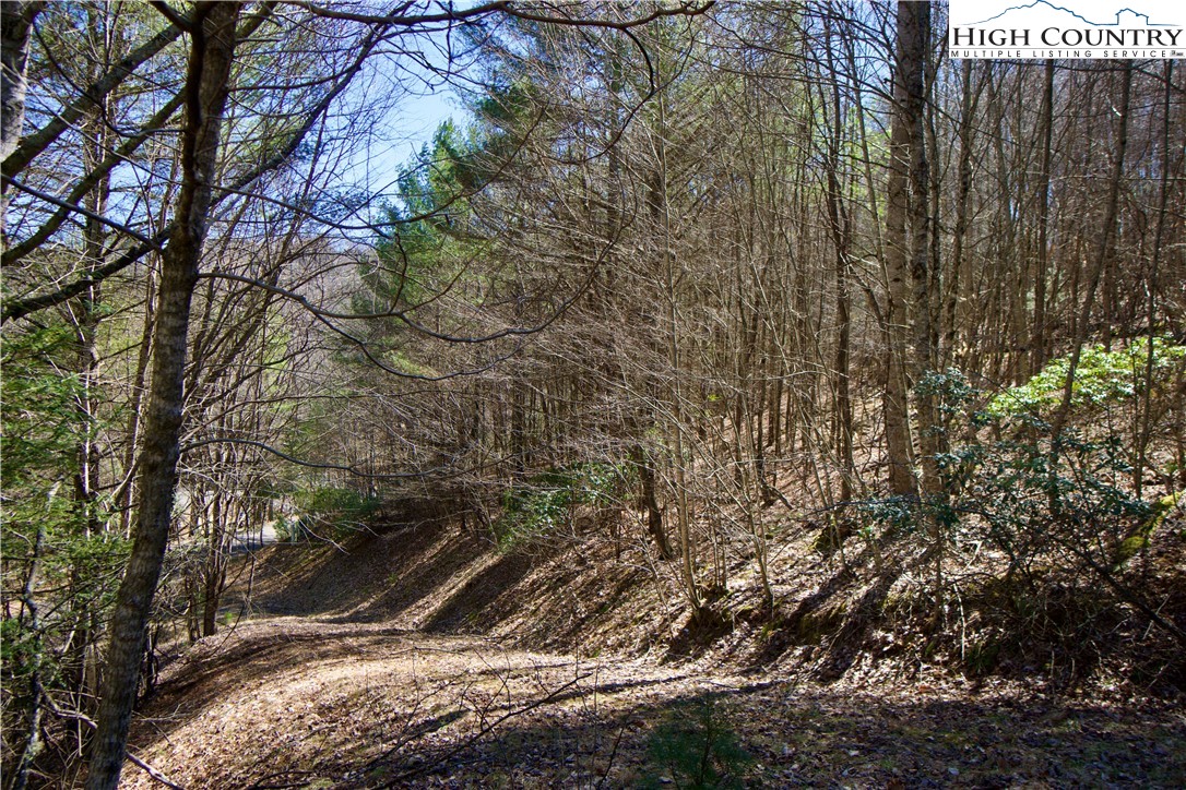 63 Stoney Brook Drive