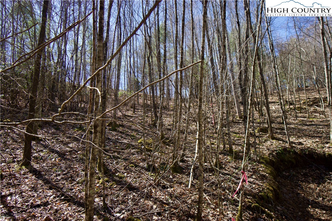 63 Stoney Brook Drive