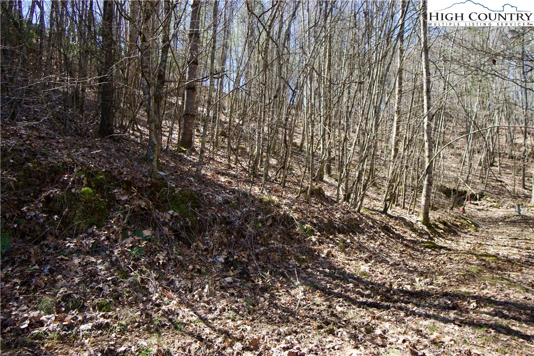 63 Stoney Brook Drive