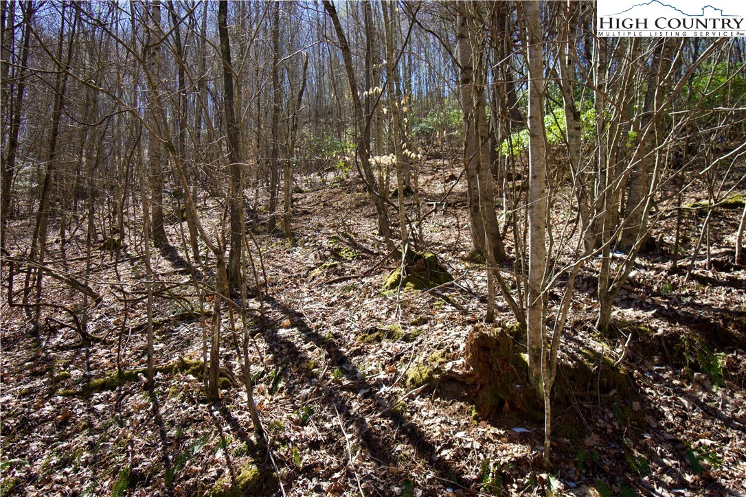 63 Stoney Brook Drive