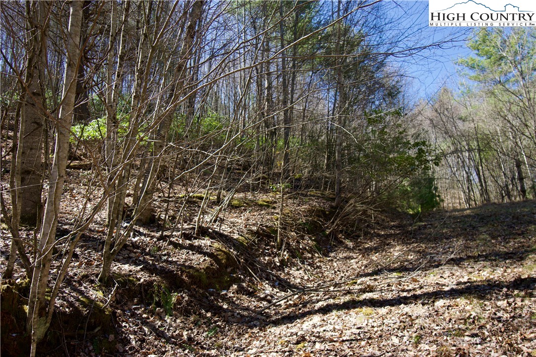 63 Stoney Brook Drive