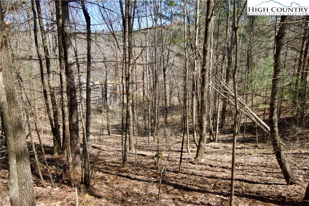 63 Stoney Brook Drive