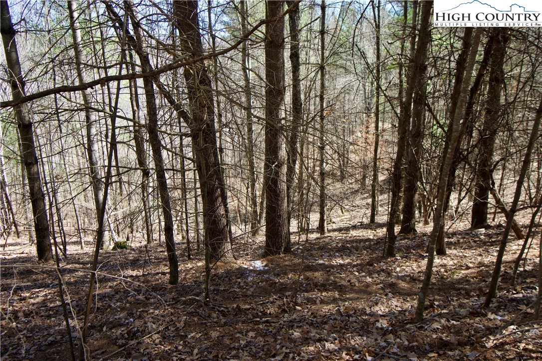 63 Stoney Brook Drive