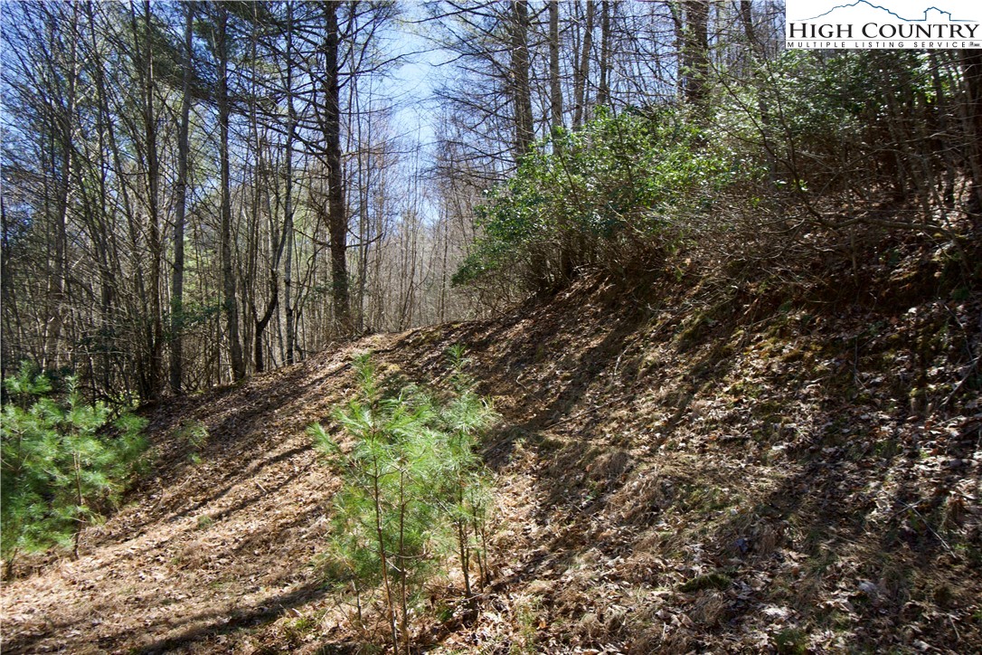 63 Stoney Brook Drive