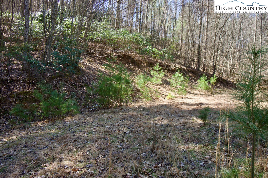 63 Stoney Brook Drive