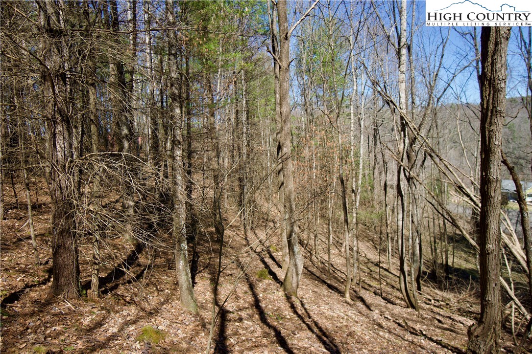 63 Stoney Brook Drive