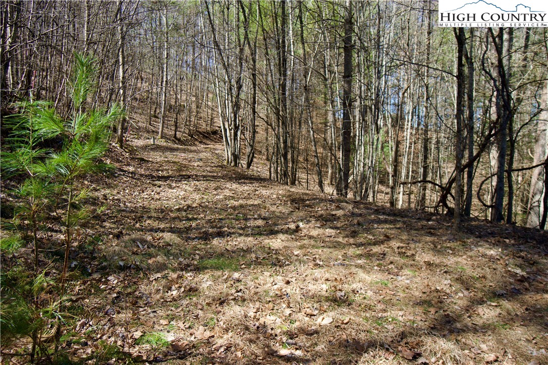 63 Stoney Brook Drive