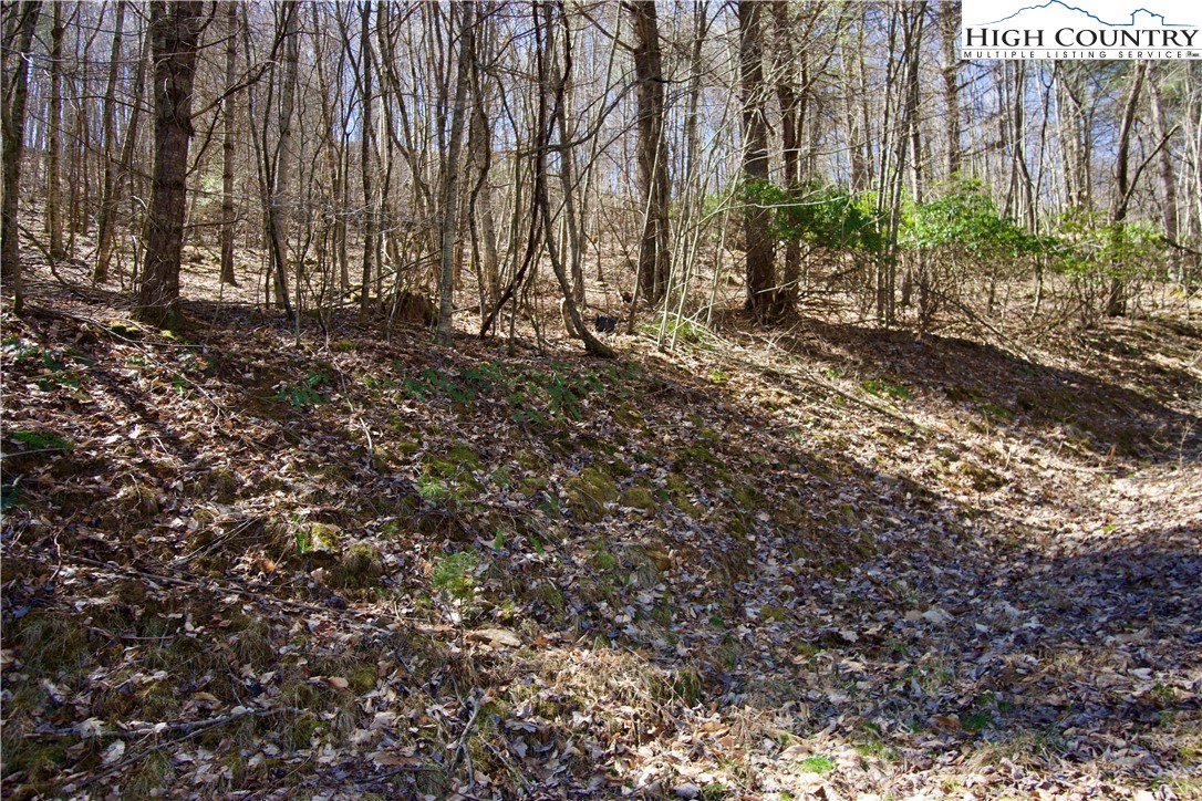 63 Stoney Brook Drive