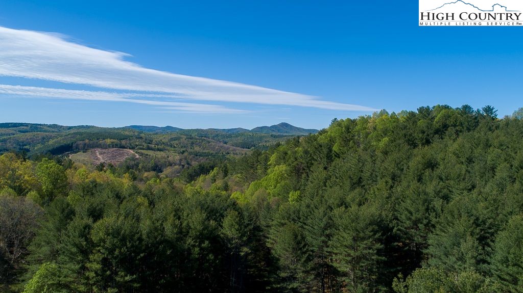 444 Chinquapin Ridge Road