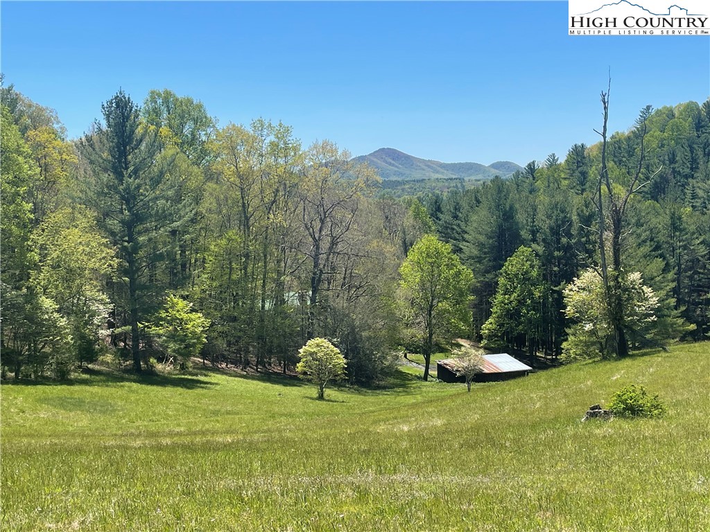 444 Chinquapin Ridge Road