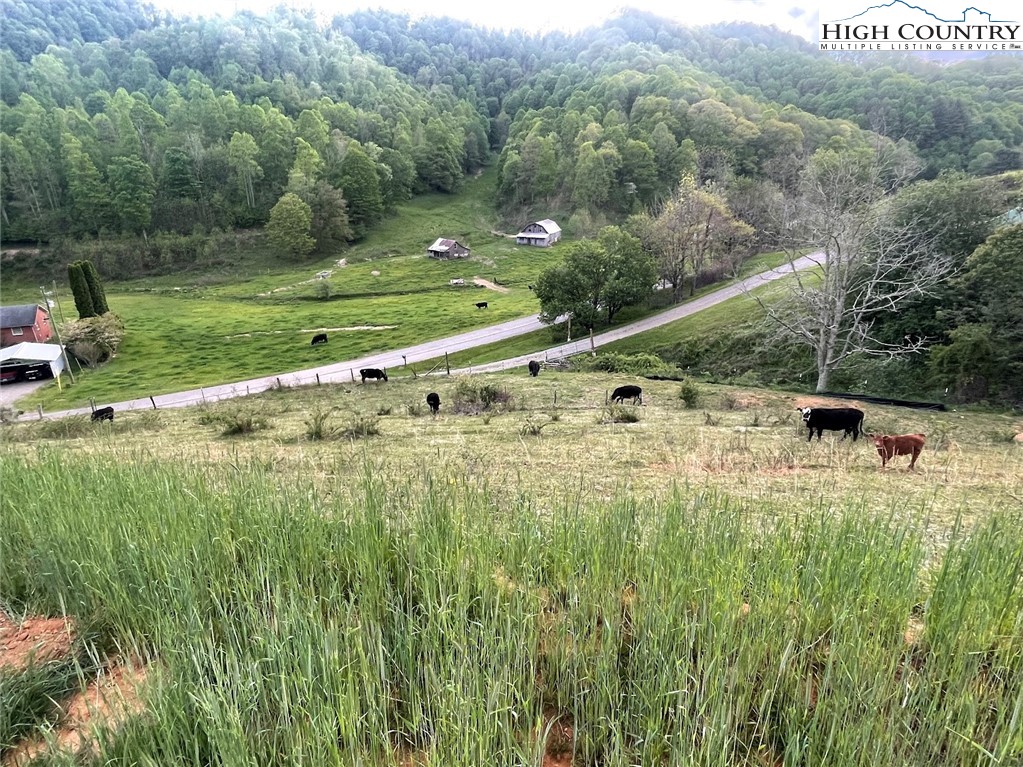 TBD Cabbage Creek Road