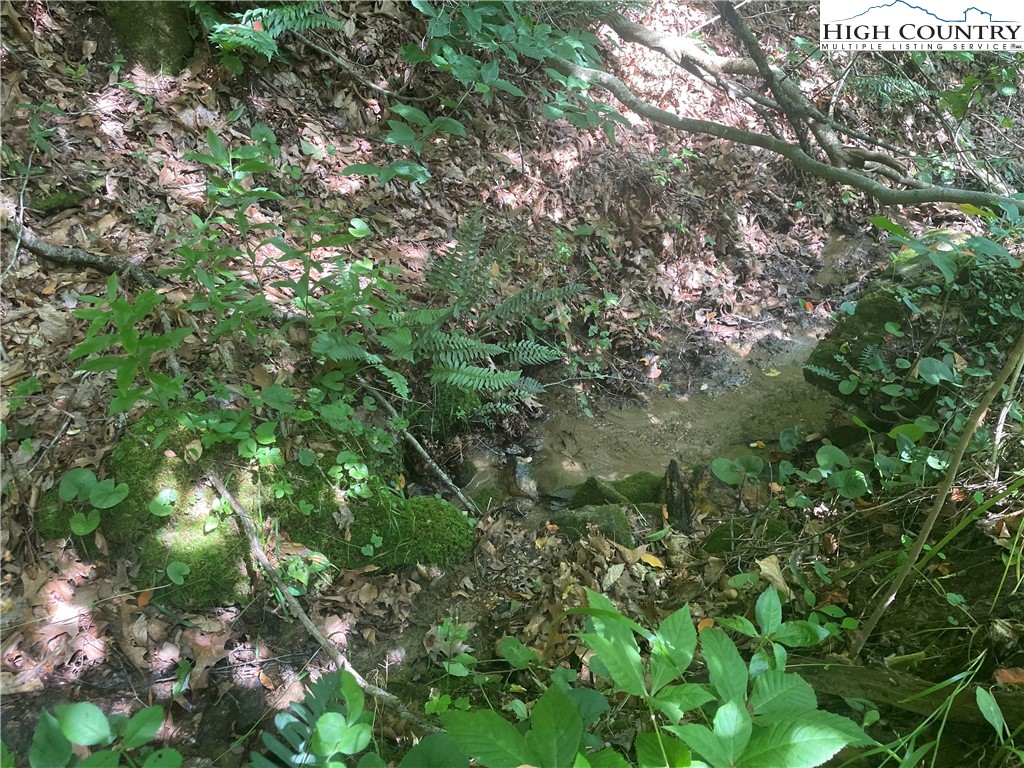 2918 Silas Creek Road