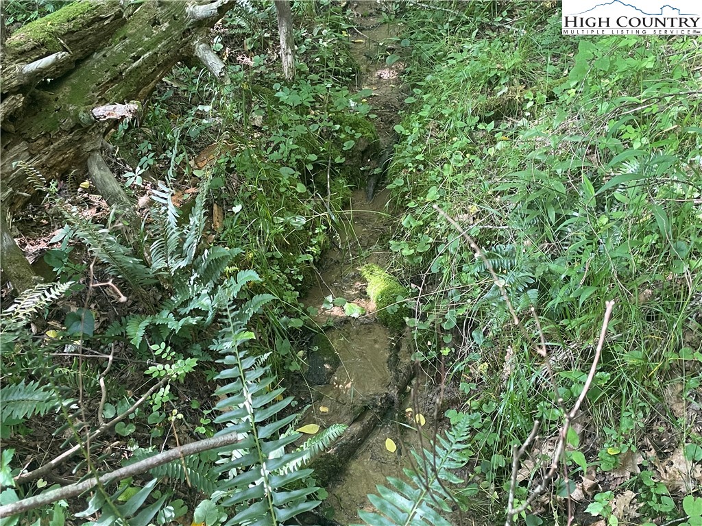 2918 Silas Creek Road