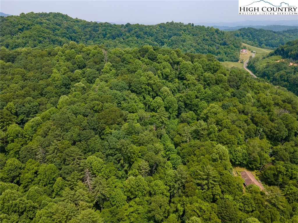 2918 Silas Creek Road