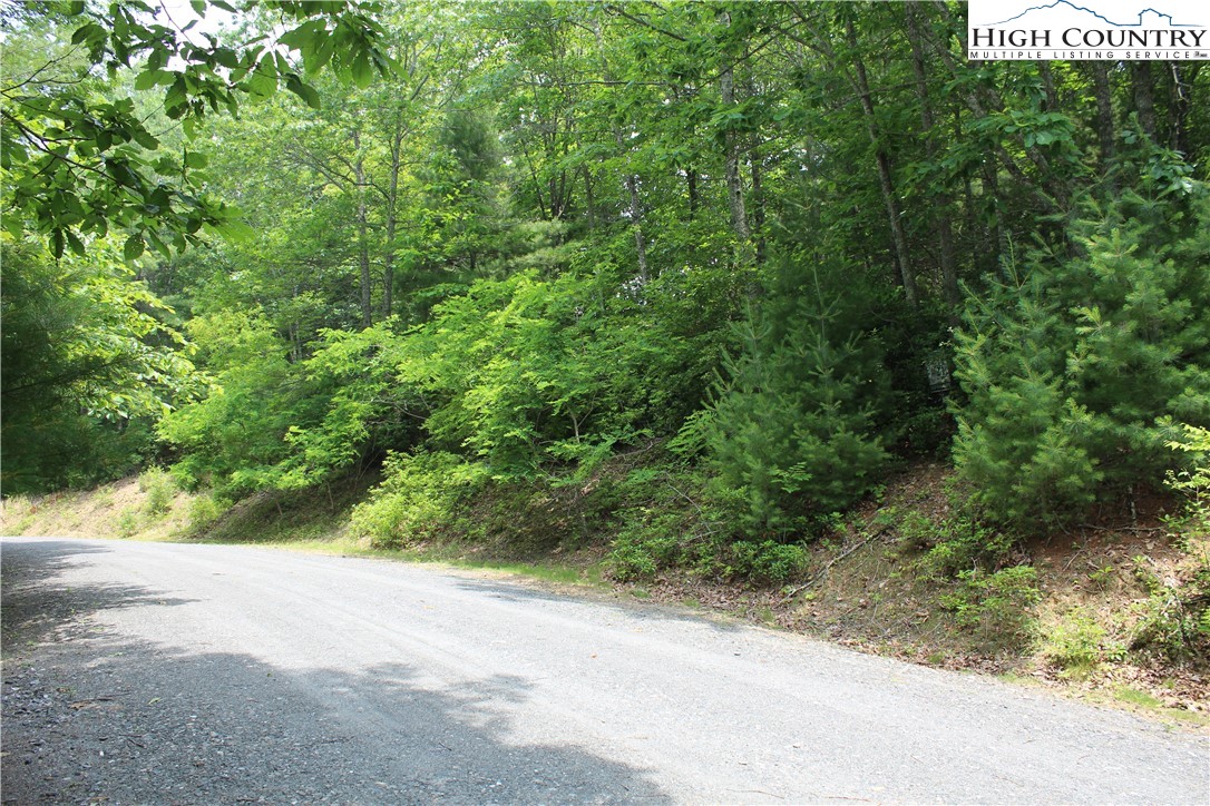 21 Christmas Mountain Lane