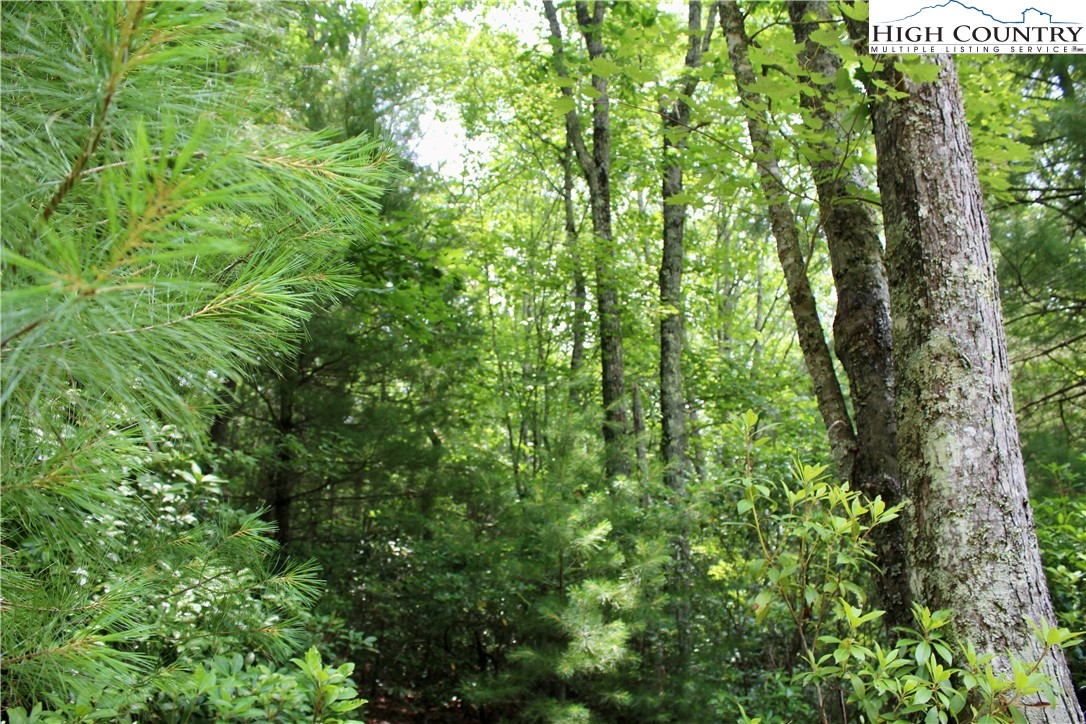 21 Christmas Mountain Lane