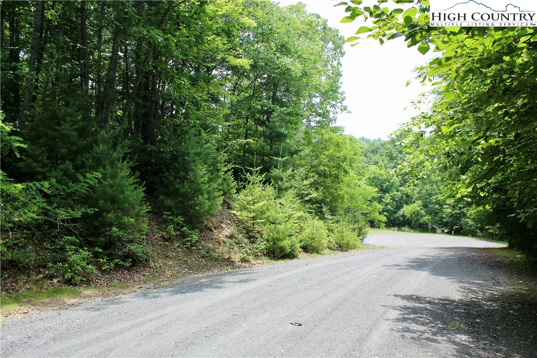 21 Christmas Mountain Lane