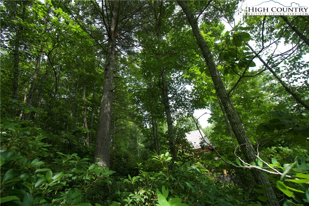 21 Christmas Mountain Lane