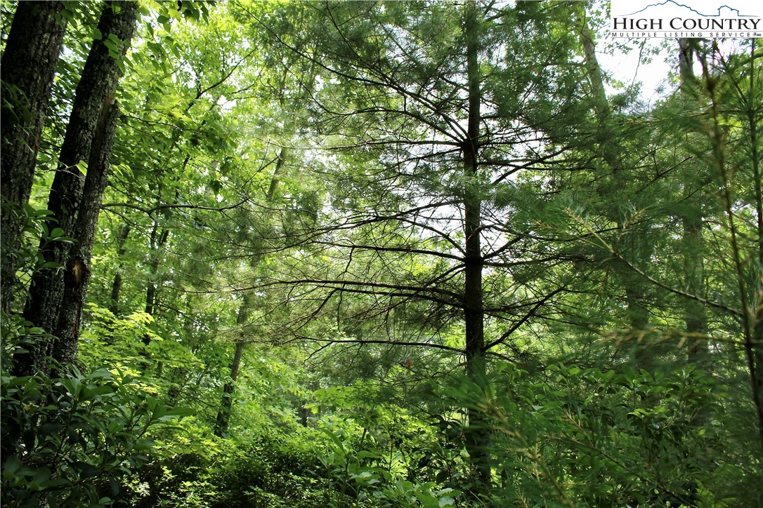 21 Christmas Mountain Lane