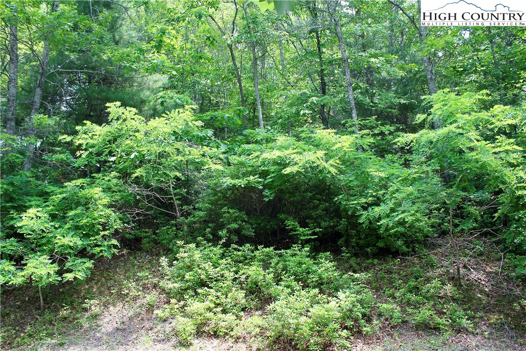 21 Christmas Mountain Lane