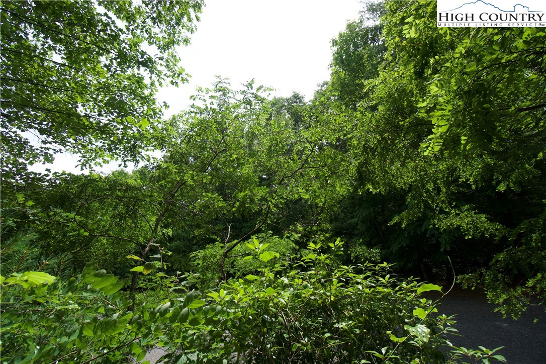 21 Christmas Mountain Lane