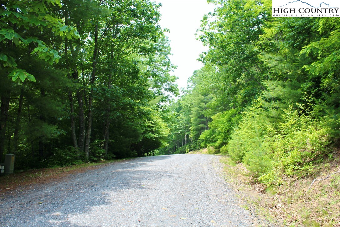 21 Christmas Mountain Lane