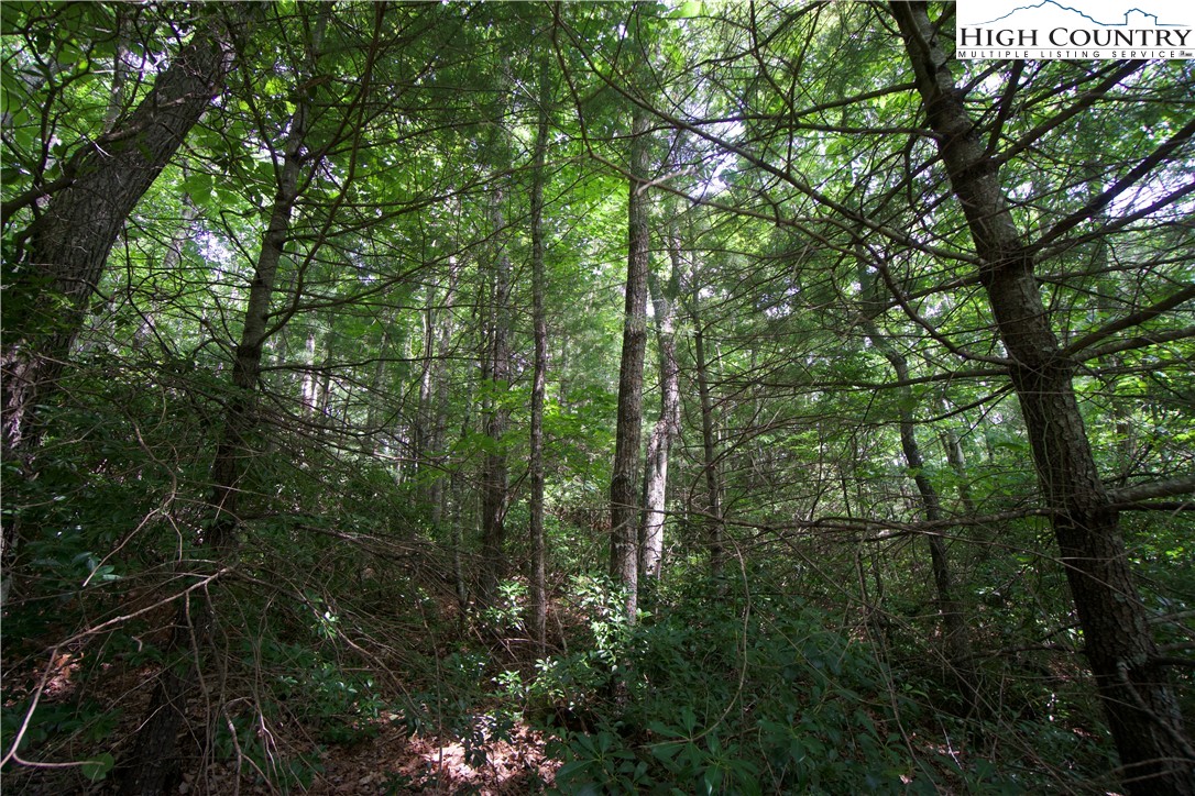 21 Christmas Mountain Lane