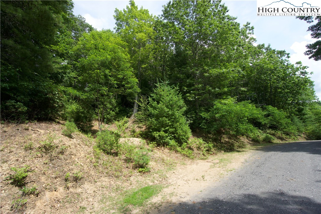 21 Christmas Mountain Lane