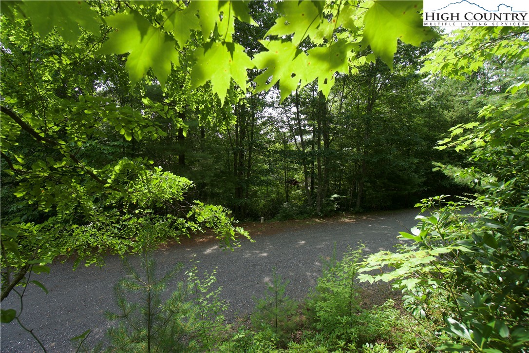 21 Christmas Mountain Lane