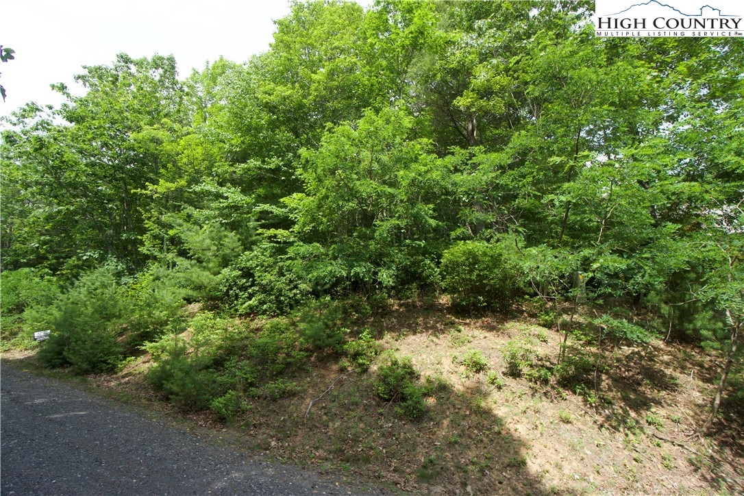 21 Christmas Mountain Lane