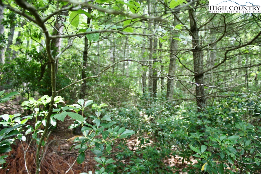 21 Christmas Mountain Lane