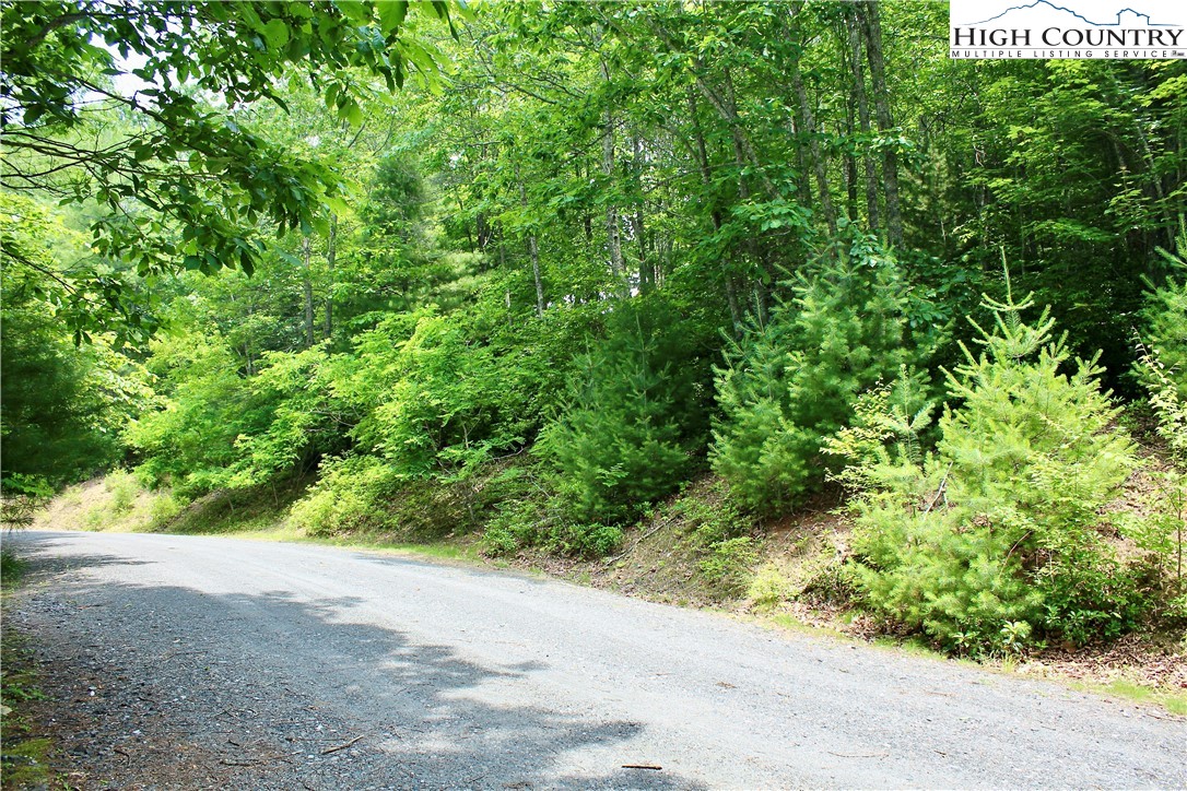 21 Christmas Mountain Lane