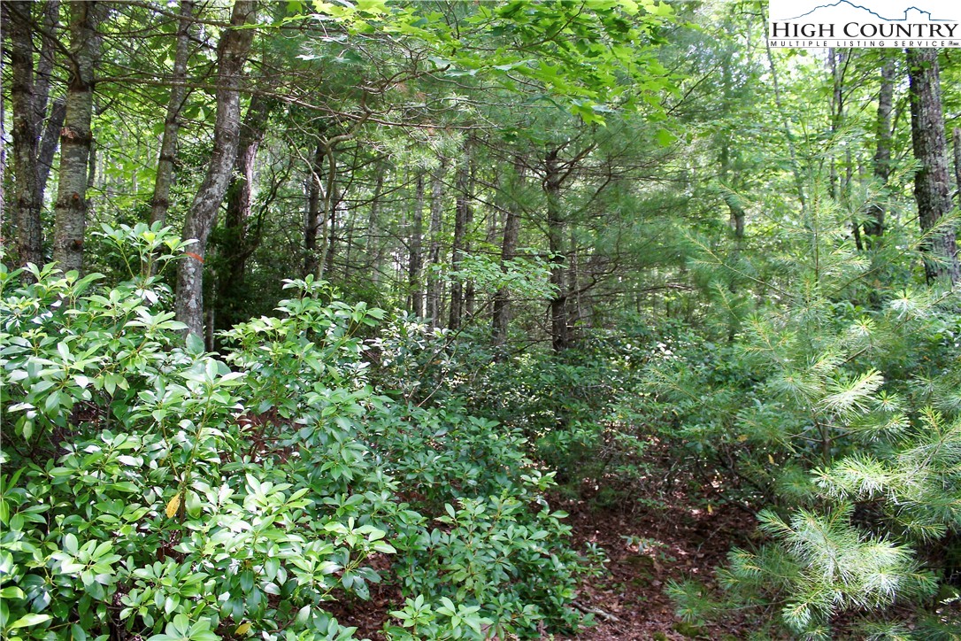 21 Christmas Mountain Lane